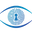 BIGMAN SECURITY logo